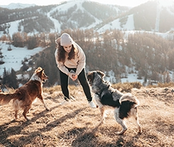 Két kutya labdázik a gazdájával