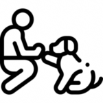 személyre szabott képzés ikon